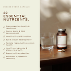 Prenatal Support [Her]